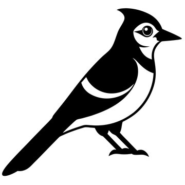 recommend clip art: Blue jay is a passerine bird in the family Corvidae. Blue Bird silhouette  flat style character of ornithology, vector illustration isolated on white
                    