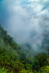 A misty mountain landscape with lush greenery.