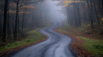 Obraz premium Winding road through a misty forest in autumn.