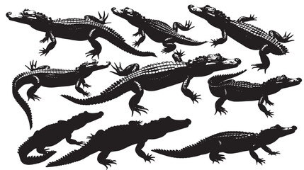 Fototapeta premium Alligators silhouette isolated in White background