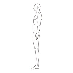 Side view of a human anatomy outline, showing full body proportions and simplified anatomical details in a minimalist line drawing style.
