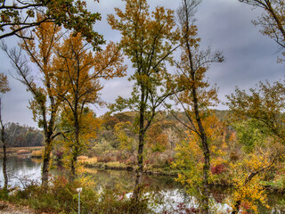 Autumn Colors at the Danube river