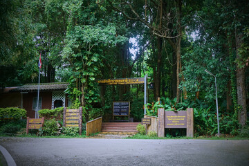 Fototapeta premium A nature trail entry surrounded by lush greenery, with informational signs.