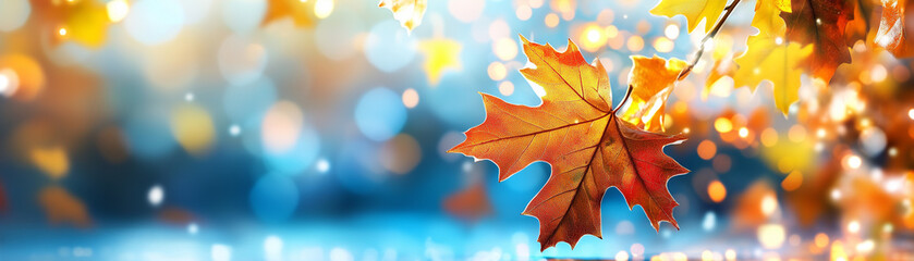 Fototapeta premium autumn banner with copy space