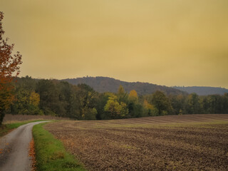road in the fog