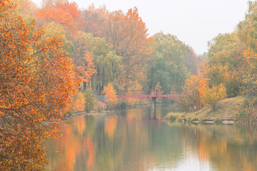 Obraz premium Orange fall leaves in park, autumn natural background
