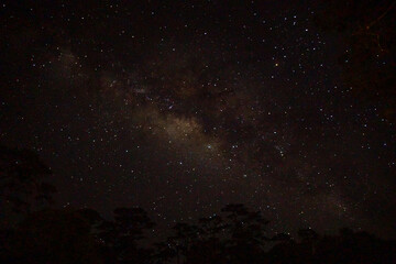 A view of the Milky Way galaxy against a dark sky.