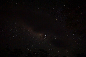 Fototapeta premium A mesmerizing view of the night sky filled with countless twinkling stars.