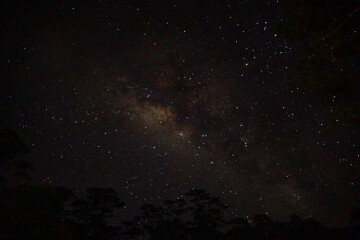 Fototapeta premium A starry night sky with countless twinkling stars.