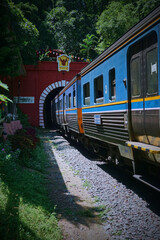 Obraz premium A blue train entering a brick tunnel surrounded by lush greenery and a rocky path, capturing a serene railway scene.