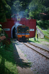 Obraz premium A blue and orange train entering a red brick tunnel surrounded by lush greenery.