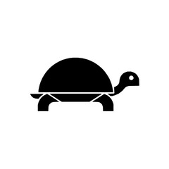 Fototapeta premium Turtle