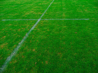 Obraz premium White marking lines on a green grass sport training field.