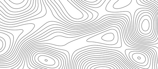 Fototapeta premium Abstract white wave paper curved reliefs background design. The black on white contours topography stylized relief diagram line wave carve pattern background.