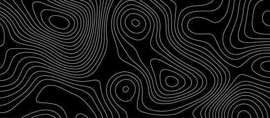 Fototapeta premium Abstract white wave paper curved reliefs background design. The black on white contours topography stylized relief diagram line wave carve pattern background.