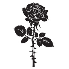 Obraz premium Black silhouette of rose flower isolated on white background