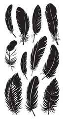 Obraz premium black silhouettes of bird feather , black silhouettes isolated on white background 