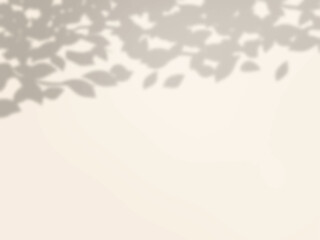 木の影がベージュの壁に映る背景