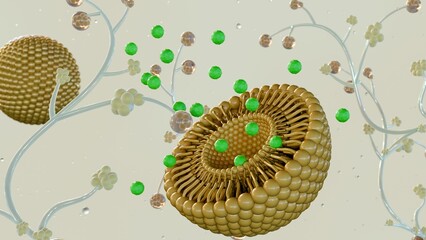 Liposomes as Antifungal Delivery Systems Against Candida albicans, a common yeast, can cause various infections; 3d rendering