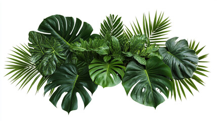 A lush arrangement of tropical plants featuring diverse green foliage on a white background