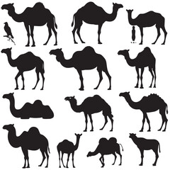 Camels Silhouettes Clipart Set , black silhouettes isolated on white background