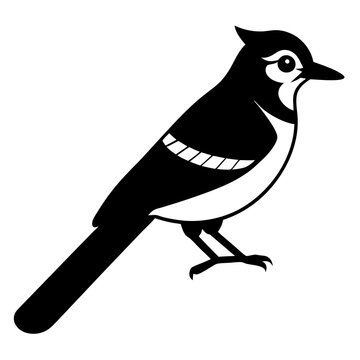recommend clip art: blue jay on white