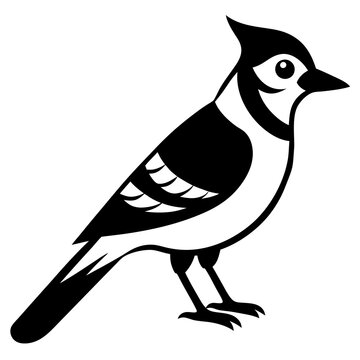 recommend clip art: blue jay on white