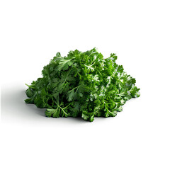 Fototapeta premium Parsley dried and dark green clustered in the center warm lighting top view food and