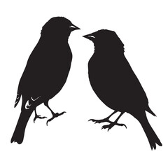 Fototapeta premium Canaries silhouette isolated in White background