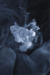 Ethereal Drift: Capturing Fluidity in Monochrome