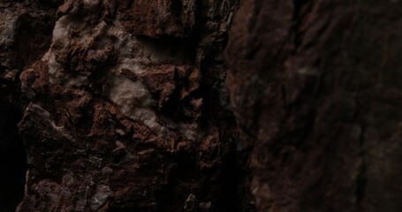 Close-up of a Rough Textured Rock Formation