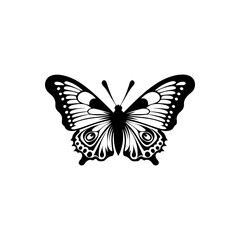 Painted Lady Butterfly