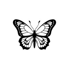 Blue Morpho Butterfly