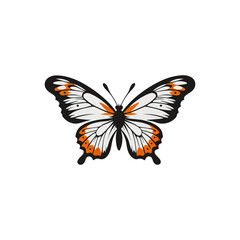 Crimson Rose Butterfly