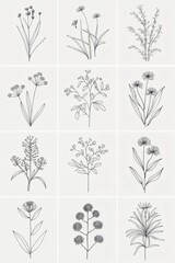Beautiful flower design collection in white background, flower icons, flower design 