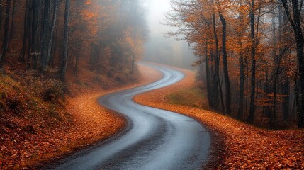 Misty Winding Road Through Autumn Landscape