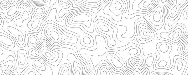 Abstract Topographic Design with Detailed Contour Lines, Seamless Background for Contemporary Art
