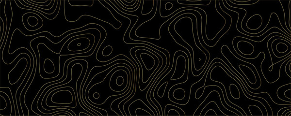 Minimalist Black and Contour Line Art with Elegant Topographic Flow, Great for Print, Digital, and Background Use
