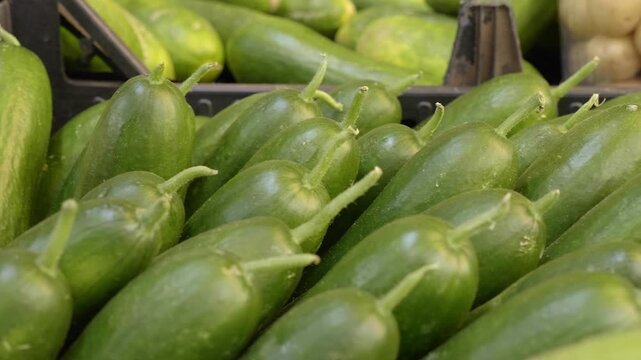 Vibrant zucchinis at an Italian market, symbolizing the fresh, high-quality produce grown in southern Italy and essential to the country&rsquo;s diverse culinary traditions