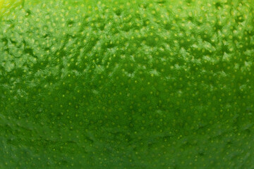 Lime Peel, citrus background