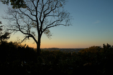 Obraz premium sunset in the city