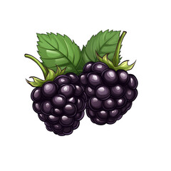 Fresh bunch of dark blackberries with glossy skin and juicy plump look isolated on a transparent background 
