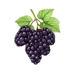 Fototapeta premium Fresh bunch of dark blackberries with glossy skin and juicy plump look isolated on a transparent background 