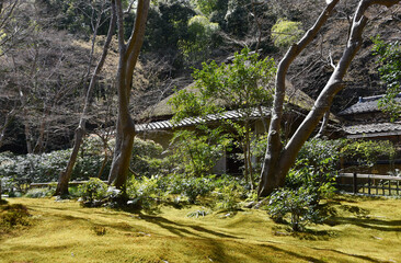 祇王寺　草庵　京都市右京区奥嵯峨