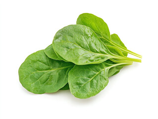 Fresh spinach leaves on white background are vibrant and healthy, perfect for salads or cooking. Their rich green color and smooth texture make them nutritious addition to any meal