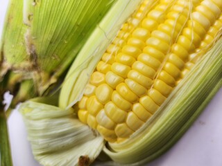 Close up of yellow sweetcorn seed