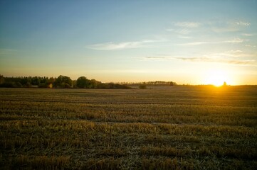 Sunny evening over a mown wheat field