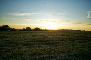 Obraz premium Sunny evening over a mown wheat field