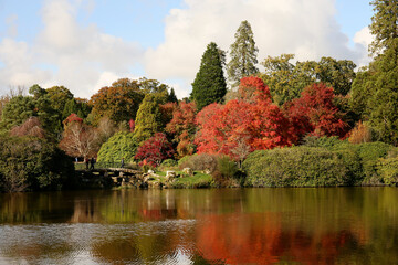 Autumn trees in Sussex, England