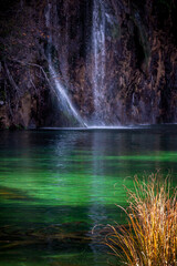 Waterfall in the forest